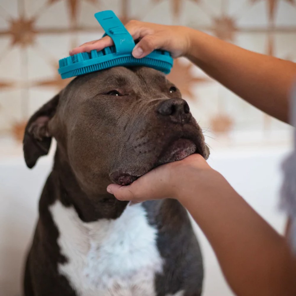 Messy Mutts Silicone Dual Sided Dog Grooming Brush With Hand Strap