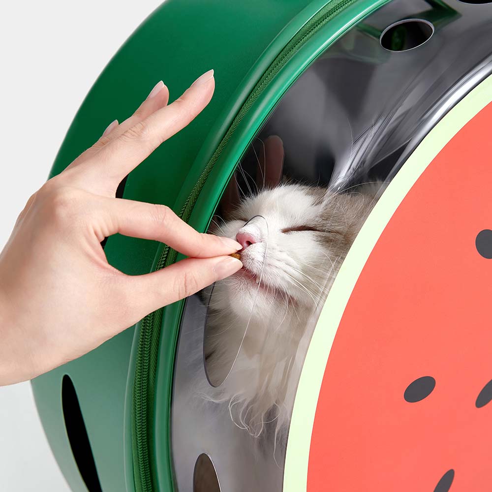"VETRESKA Bubble Carrier For Cats & Dogs (Green, Opaque)"