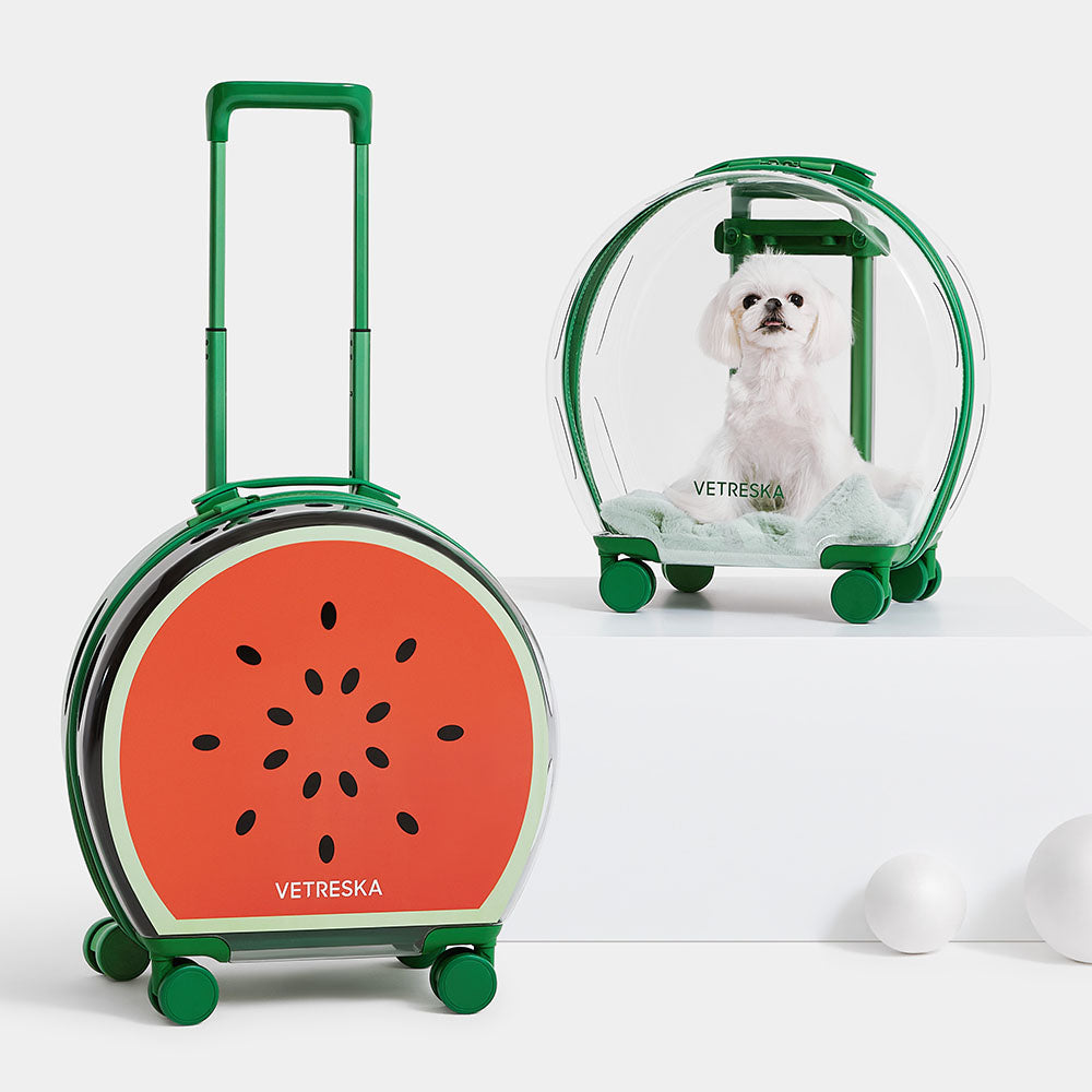 "VETRESKA Bubble Carrier For Cats & Dogs (Green, Opaque)"
