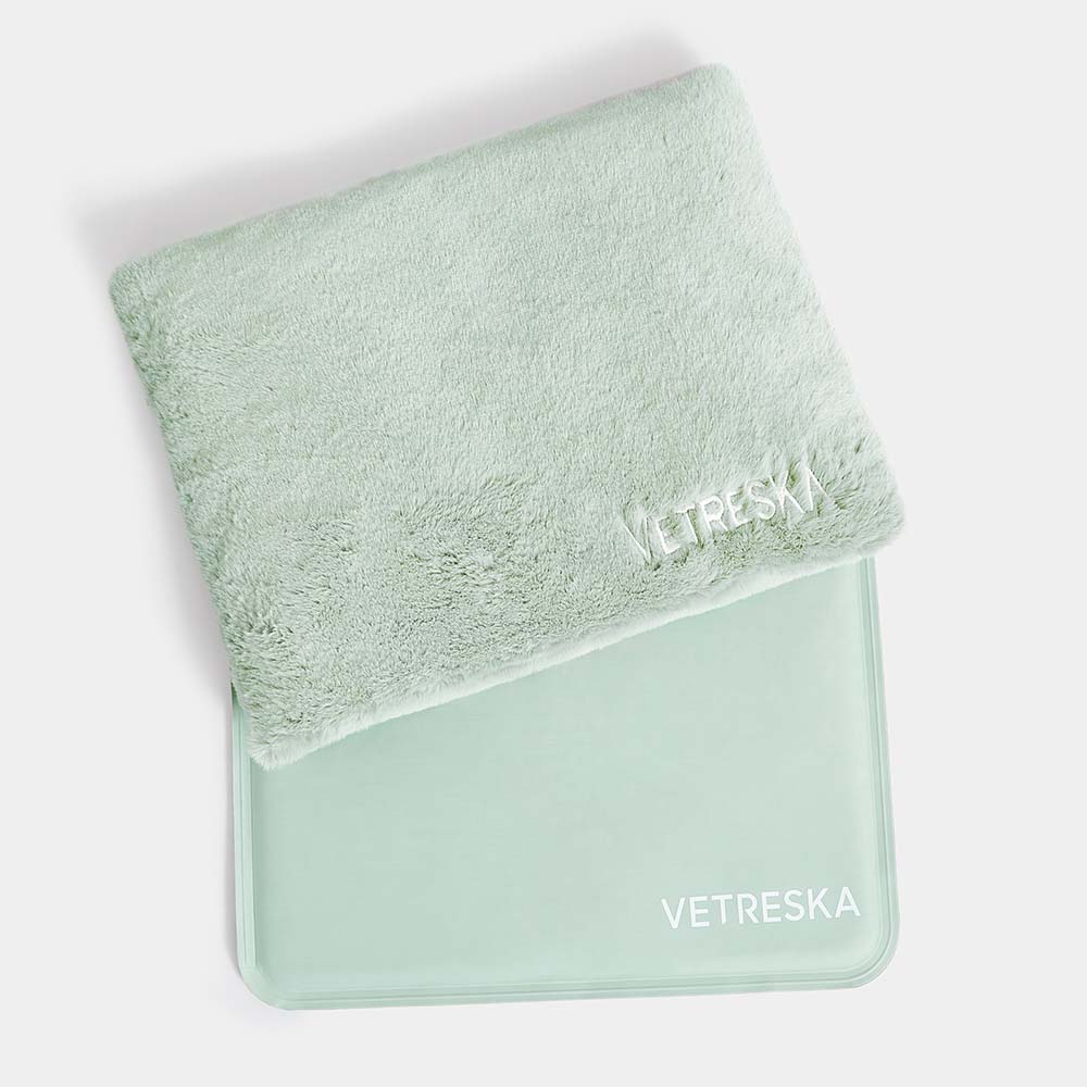 "VETRESKA Bubble Carrier For Cats & Dogs (Green, Opaque)"