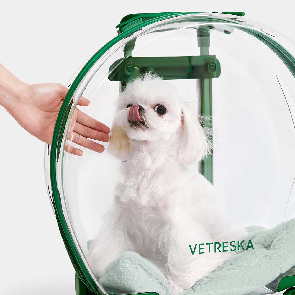 "VETRESKA Bubble Carrier For Cats & Dogs (Green, Transparent)"