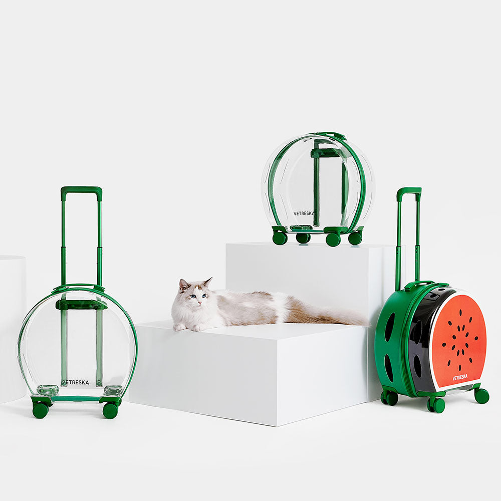 "VETRESKA Bubble Carrier For Cats & Dogs (Green, Transparent)"