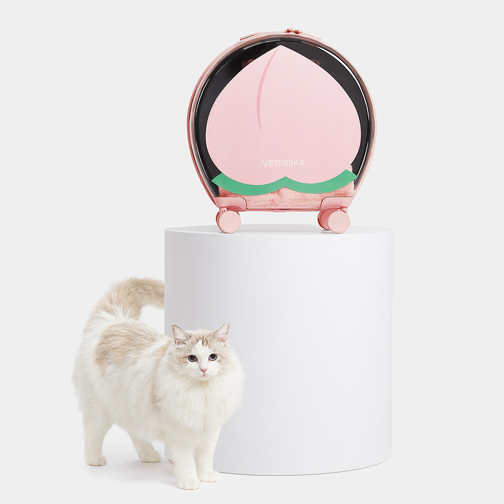 "VETRESKA Bubble Carrier For Cats & Dogs (Pink, Opaque)"