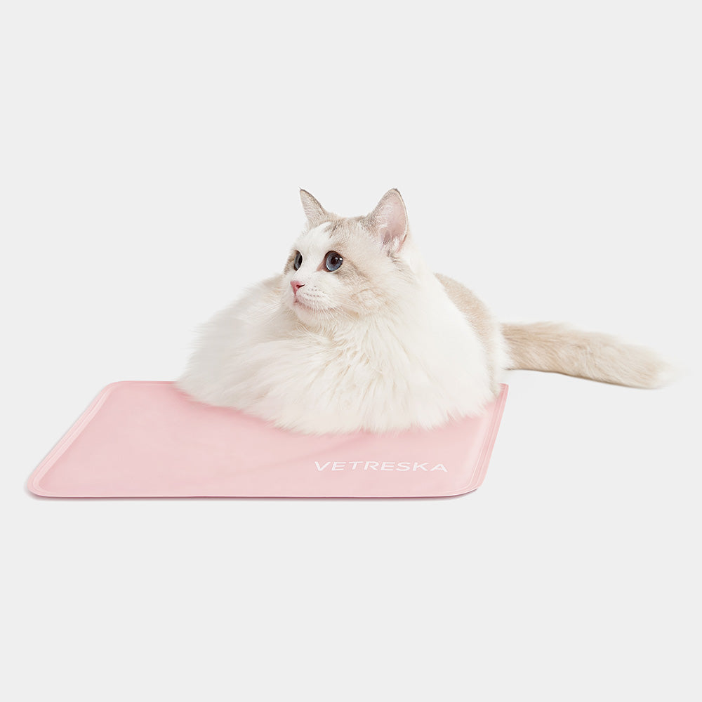 "VETRESKA Bubble Carrier For Cats & Dogs (Pink, Transparent)"