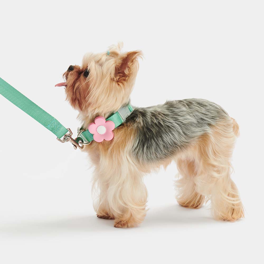 "VETRESKA Flora Collar, Backpack Harness & Leash Set For Cats & Dogs"