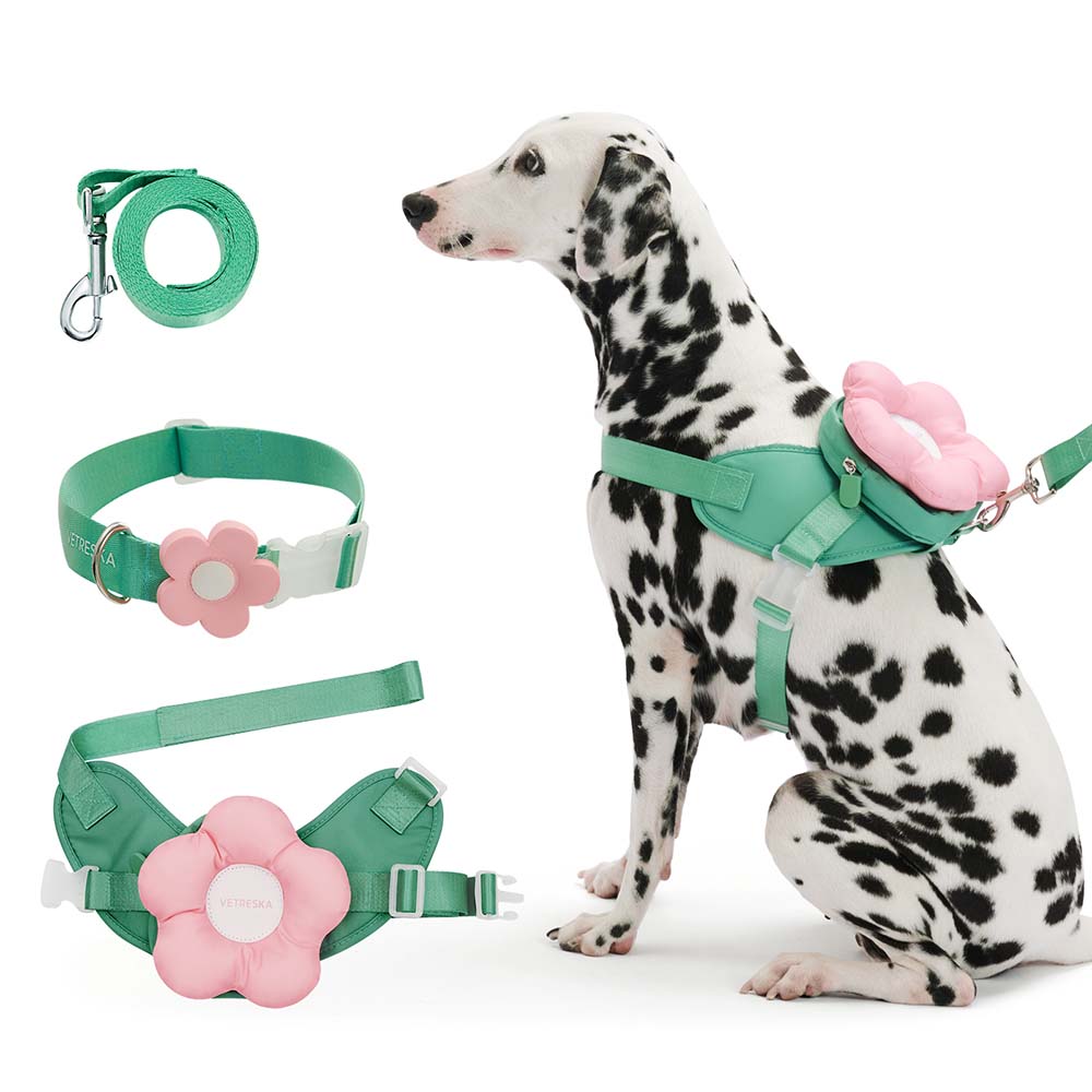 "VETRESKA Flora Collar, Backpack Harness & Leash Set For Cats & Dogs"