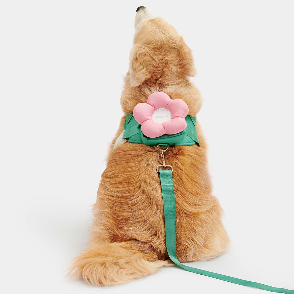 "VETRESKA Flora Collar, Backpack Harness & Leash Set For Cats & Dogs"