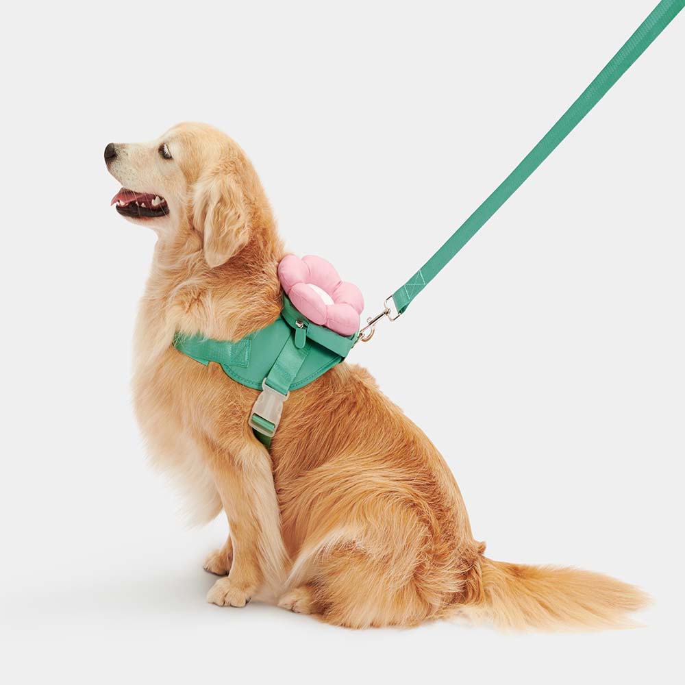 "VETRESKA Flora Collar, Backpack Harness & Leash Set For Cats & Dogs"