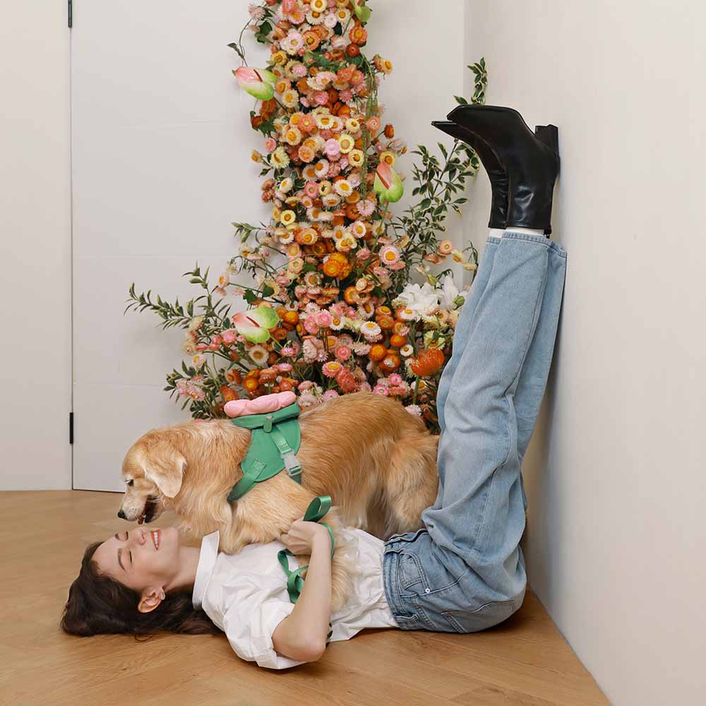 "VETRESKA Flora Collar, Backpack Harness & Leash Set For Cats & Dogs"