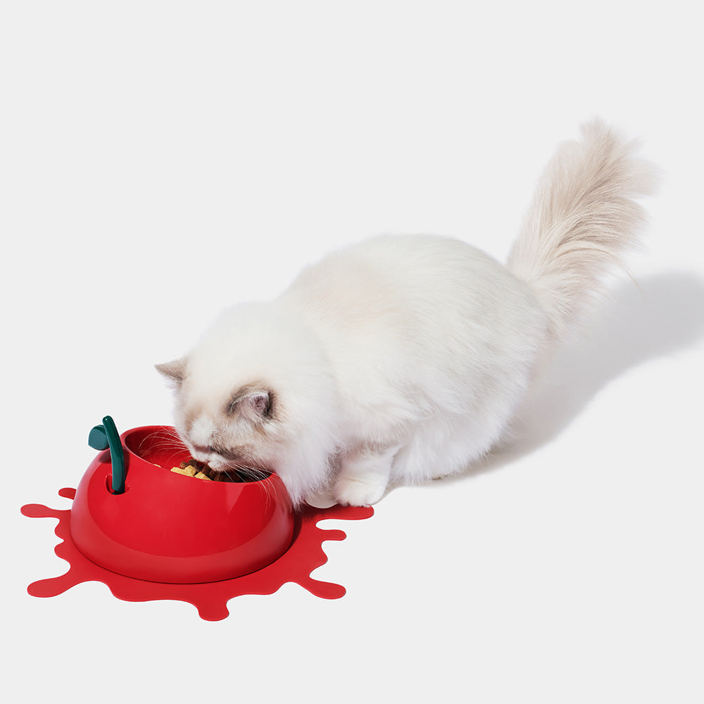 "VETRESKA Juicy Cherry Bowl, Mat & Spoon Set For Cats & Dogs"