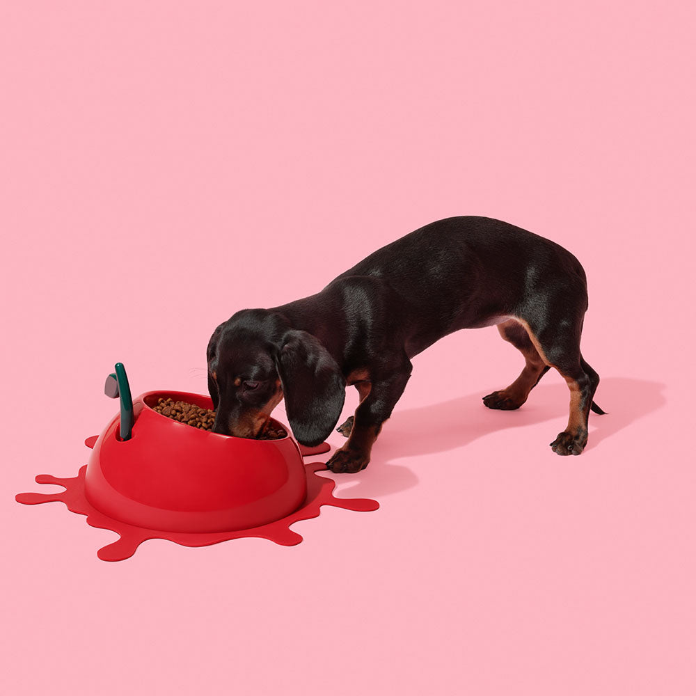 "VETRESKA Juicy Cherry Bowl, Mat & Spoon Set For Cats & Dogs"