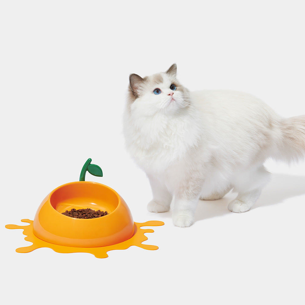 "VETRESKA Juicy Tangerine Bowl, Mat & Spoon Set For Cats & Dogs"