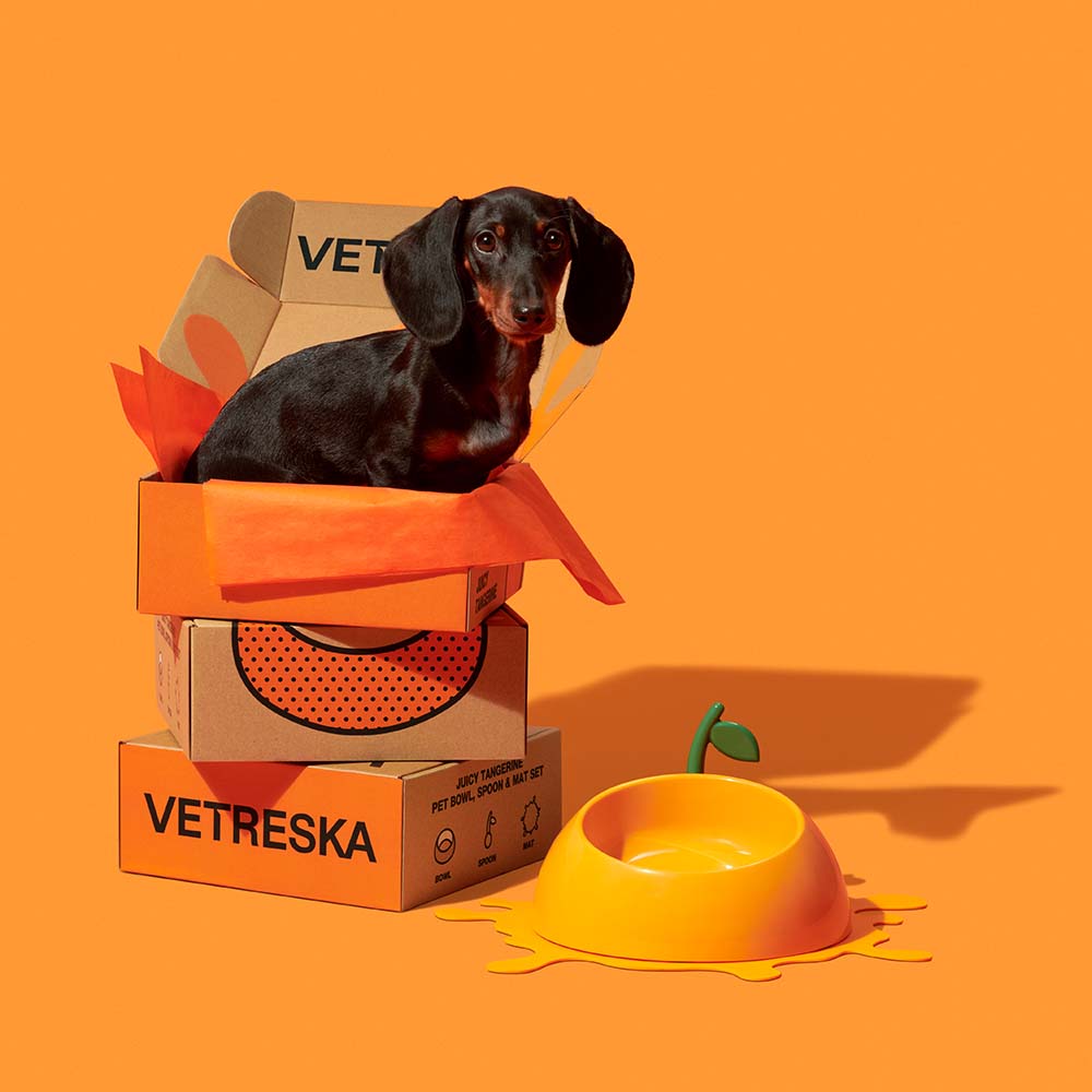 "VETRESKA Juicy Tangerine Bowl, Mat & Spoon Set For Cats & Dogs"
