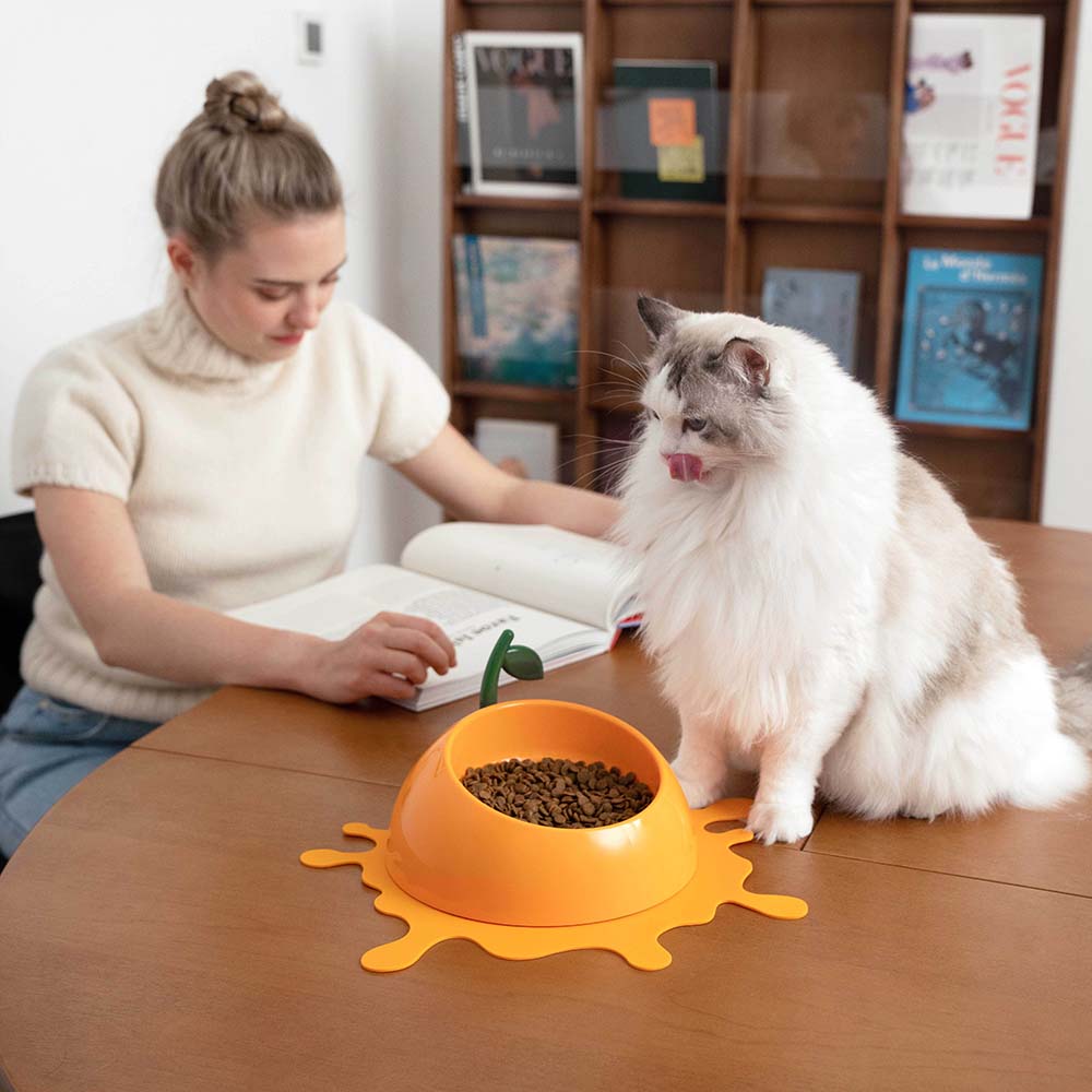 "VETRESKA Juicy Tangerine Bowl, Mat & Spoon Set For Cats & Dogs"
