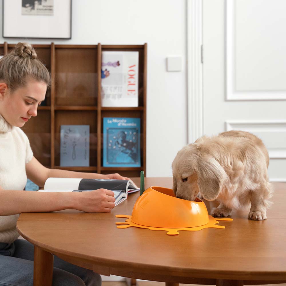 "VETRESKA Juicy Tangerine Bowl, Mat & Spoon Set For Cats & Dogs"